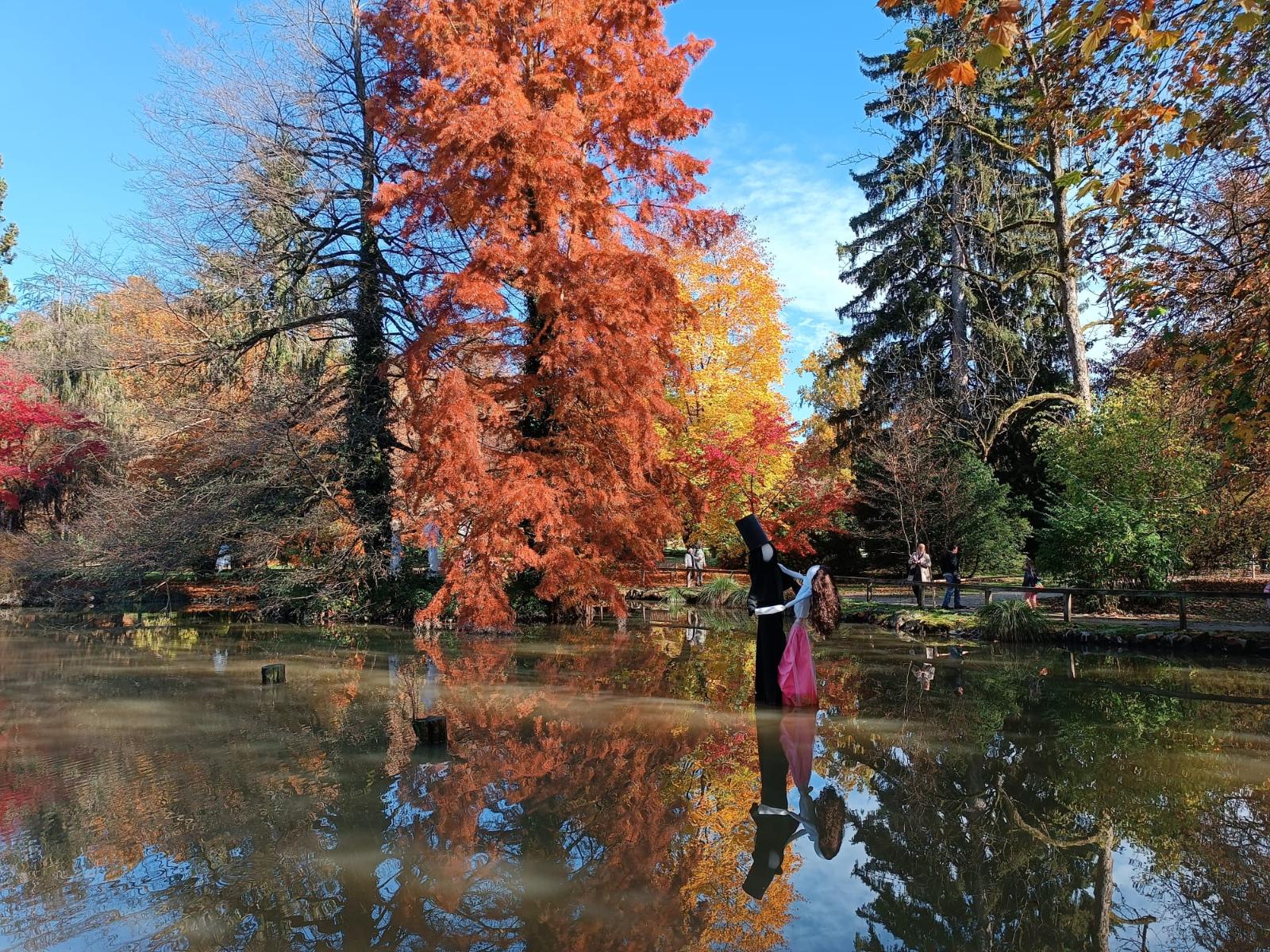 Fotografska delavnica Začarani park