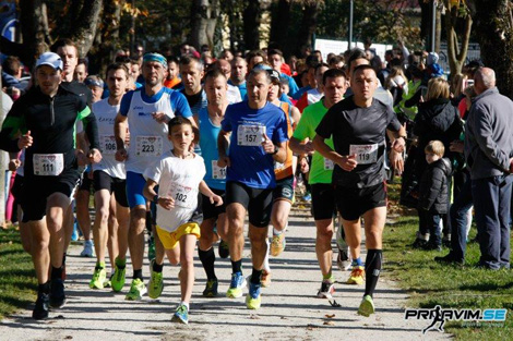 QIZIL PAYIZ QAÇIŞ FESTİVALI (GOLD AUTUMN)  - 12 km